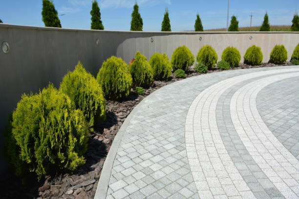 Best Driveway Paving Near Me  in Seymour, TN